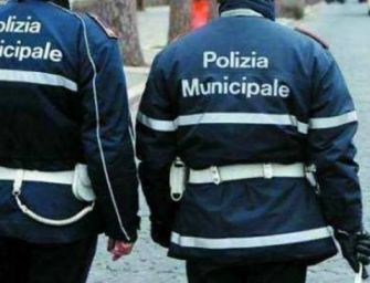 Castelnovo Sotto, furti a raffica: denunciato il topo del Bocciodromo