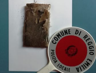 Reggio. Il cane Victor trova panetto di hascisc ai Giardini pubblici