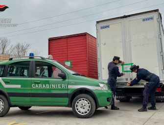 Nei mangimi per gli animali i rifiuti delle aziende dolciarie: sequestri e perquisizioni