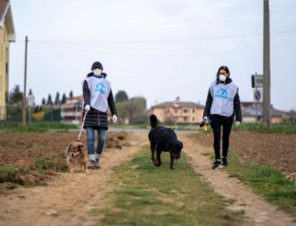 Reggio, Comune e associazioni per gli animali