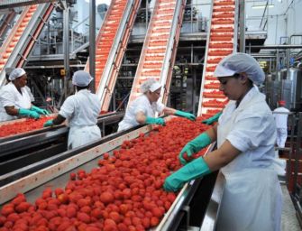 In Emilia-Romagna la manodopera stagionale per l’agricoltura si cerca online sul portale “Lavoro per te”