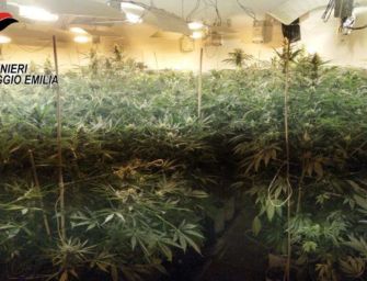 Casalgrande. ‘Fumati’ credono di avere i ladri in casa e chiamano i carabinieri che scoprono una piantagione di droga e li arrestano