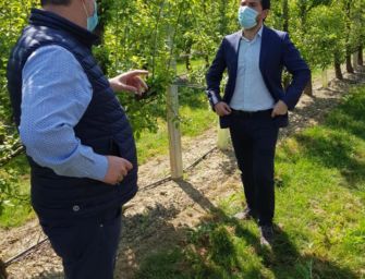 “Meno scrivania, più territorio”. L’assessore Mammi fa visita agli imprenditori agricoli
