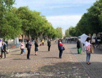 Modena. Da lunedì 25 al mercato Novi Sad con la mascherina