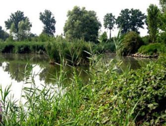 Reggio. Domenica 24 riapre al pubblico l’oasi di Marmirolo