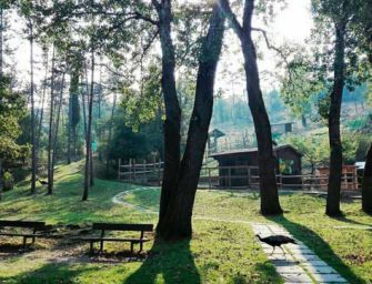 Riapre il Parco Pineta di Vezzano