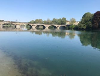 Scarsa pioggia, acqua del Po più chiara