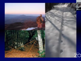 “Il lupo in pianura” in diretta streaming