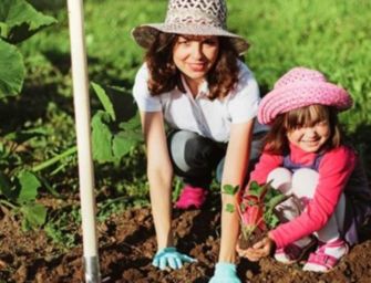 Educazione alimentare e bio nelle scuole