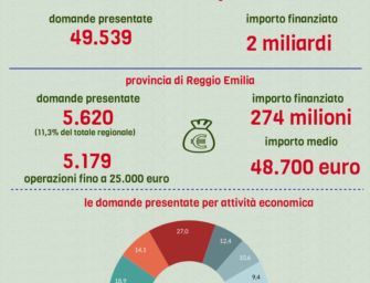 274 milioni di liquidità alle imprese reggiane nei primi cinque mesi del 2020