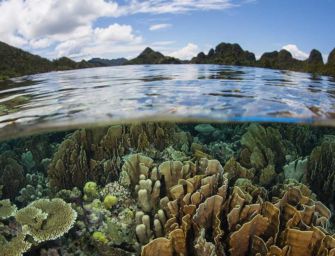 La Giornata mondiale dell’ambiente