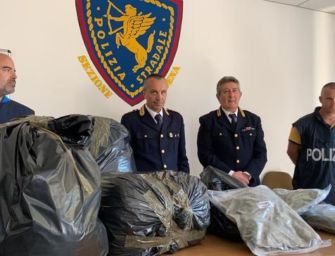In auto con 32 kg di marijuana. Fermato nell’area di servizio Secchia Est
