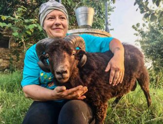 Muflone da giardino e alpaca da salotto: animali ‘strani’, è boom nel Reggiano