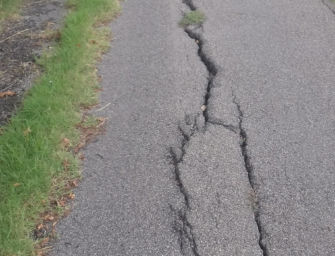 Reggio. Casali (FdI): ciclopedonali pericolose. Vecchi provveda a metterle in sicurezza