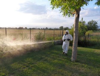 Malattie da virus West Nile, ordinanza del Comune di Reggio per eliminare gli insetti vettori