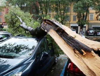 Alberi caduti e vento a 90 km orari a Modena