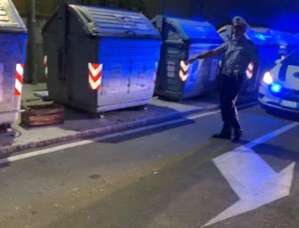 Modena, pappagalli abbandonati e salvati dalla polizia locale e Pettirosso