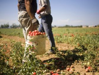 Pomodoro, Mammi chiede a Roma indennizzi
