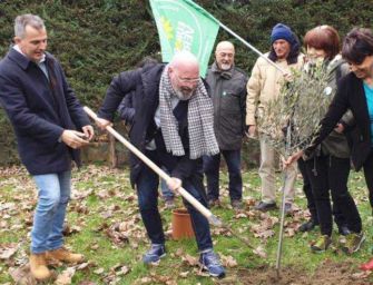 L’Emilia pianta 4,5 milioni di alberi