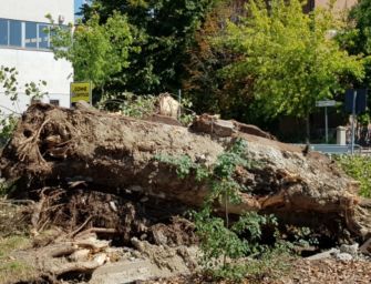 Cura del territorio e dissesto idrogeologico, in provincia di Reggio interventi per un milione e mezzo di euro