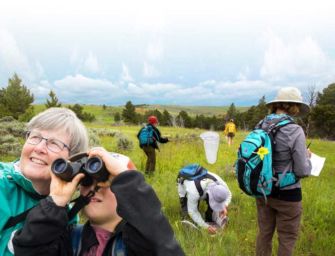 Parco della Resistenza di Modena, bioblitz alla scoperta di insetti e piante
