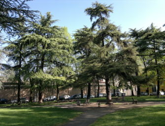 Reggio. Eboli e Aragona (FdI): aree verdi nel degrado. Anche San Zenone impraticabile