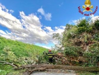 Ancora allerta per vento forte sulla regione