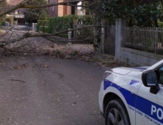 Reggio. Forte vento: alberi caduti e rami spezzati
