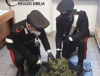 Sant’Ilario. Nel condominio l’essicatoio della marijuana, denunciato studente 17enne