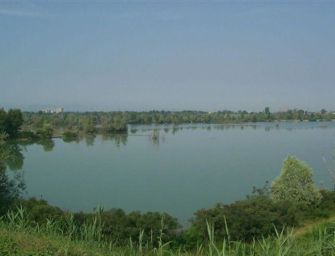 Area Secchia, Legambiente contro Regione