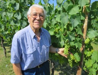 Scandiano. Morto Massimo Casali, rinomata la sua Spergola e il Pra di Bosso