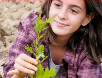 In Emilia in 40 giorni 180mila alberi gratis