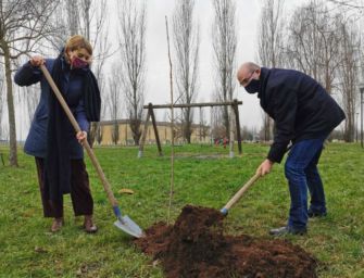 360mila alberi in regione, Reggio più green