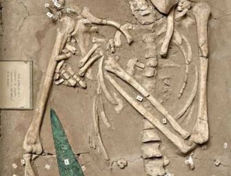 Reggio, Musei Civici: su Google art l’esposizione Primo Metallo con i ritrovamenti di Gaetano Chierici