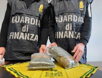 Guardia di finanza di Reggio sequestra 1 chilo di cannabis in un’azienda agricola