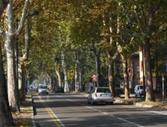 Reggio. Famiglie senza linea telefonica fissa a Santa Croce, interpellanza in Consiglio