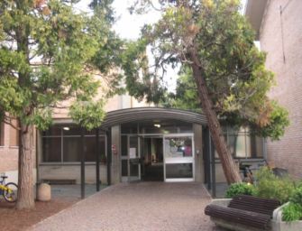 “Sono pericolosi”, Comune abbatte 2 alberi: 1 alla Pertini, l’altro in via Brancati a Reggio