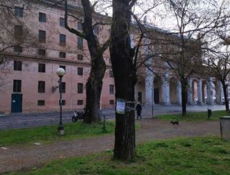 Reggio, Pellini: inizia con l’abbattimento di 2 sofore del Giappone la riqualificazione del Parco del Popolo