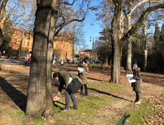 Reggio. Interventi urgenti alle Sophore e riqualificazione dei Giardini pubblici