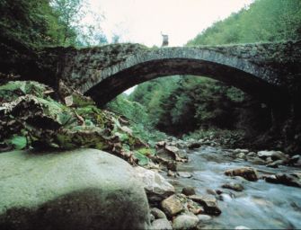 Nel Reggiano conclusi i lavori per migliorare il deflusso delle acque nel bacino dell’alto Enza