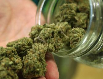 Sassuolo, spacciatore fermato dalla polizia con 20 grammi di marijuana e denunciato