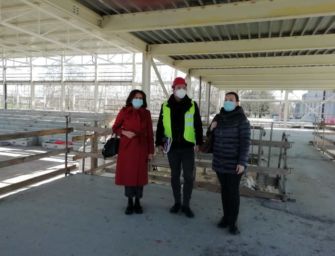 Guastalla. Palazzetto dello sport, si alzano le pareti