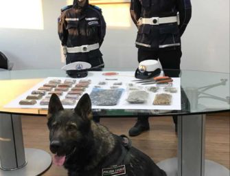 Reggio. Polizia locale recupera oltre 2 chili di droga e 3 grossi coltelli
