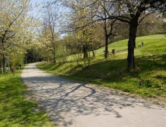 In provincia di Reggio riaprono il Parco di Roncolo e la Pinetina di Vezzano sul Crostolo