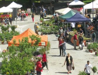 A Cavriago torna “Di fiore in fiore”