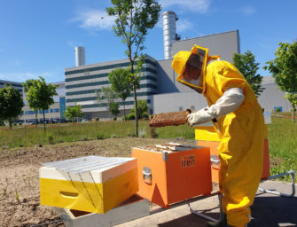 Giornata mondiale delle api, Iren posiziona alveari nella centrale di Torino Nord per monitorare la qualità dell’aria