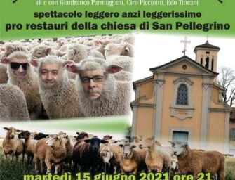 Reggio. All’Olimpia lo spettacolo benefico “Amenità di gregge”