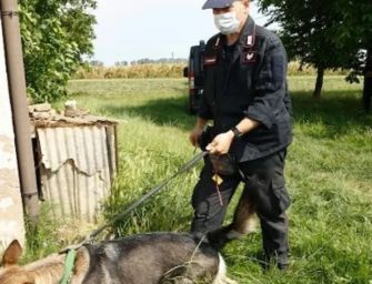 Ricerca Saman, si scandaglia il sottosuolo