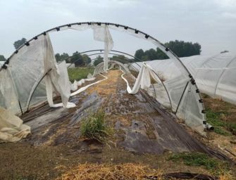 RE: “Agricoltura devastata da vento/grandine”