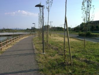 Reggio. Isola sportiva al parco Ottavi, Comune vince un finanziamento
